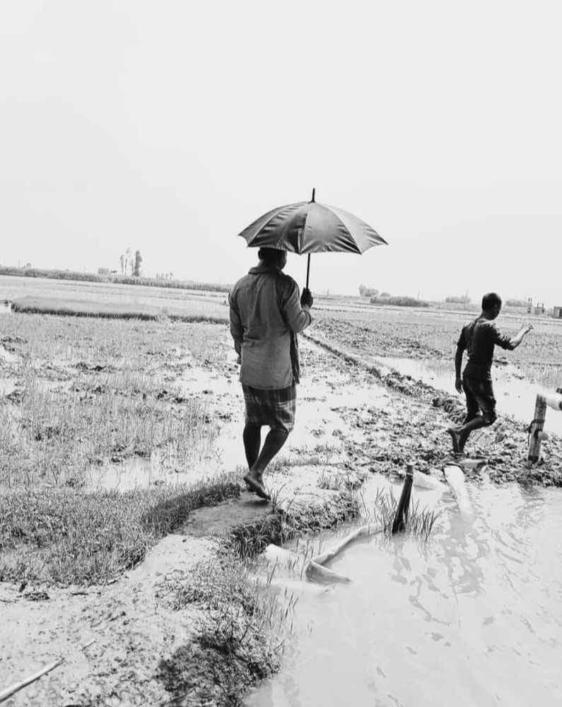 Photograph by Khaleda jia