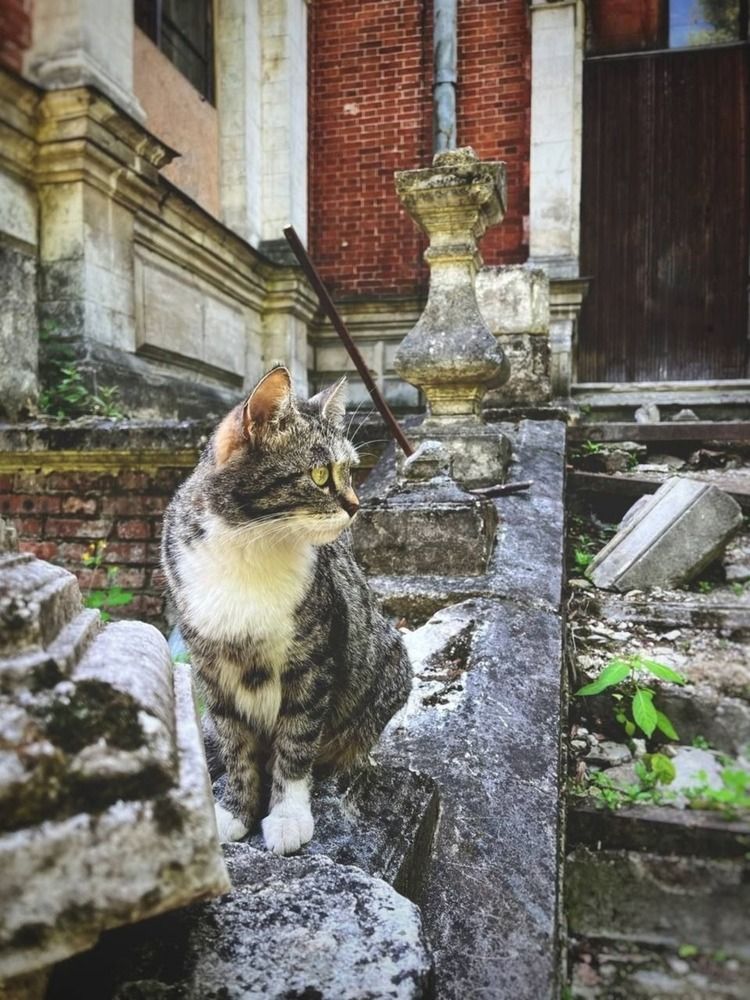 Photograph by Евгений Никонов