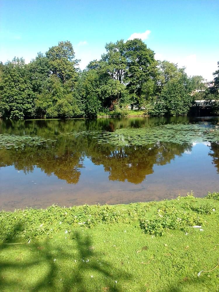 Photograph by Ольга Коркина