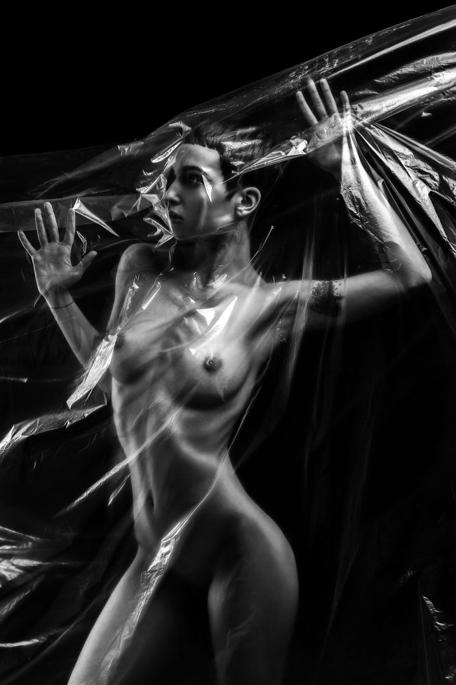 Фотография автора Георгий Шамков