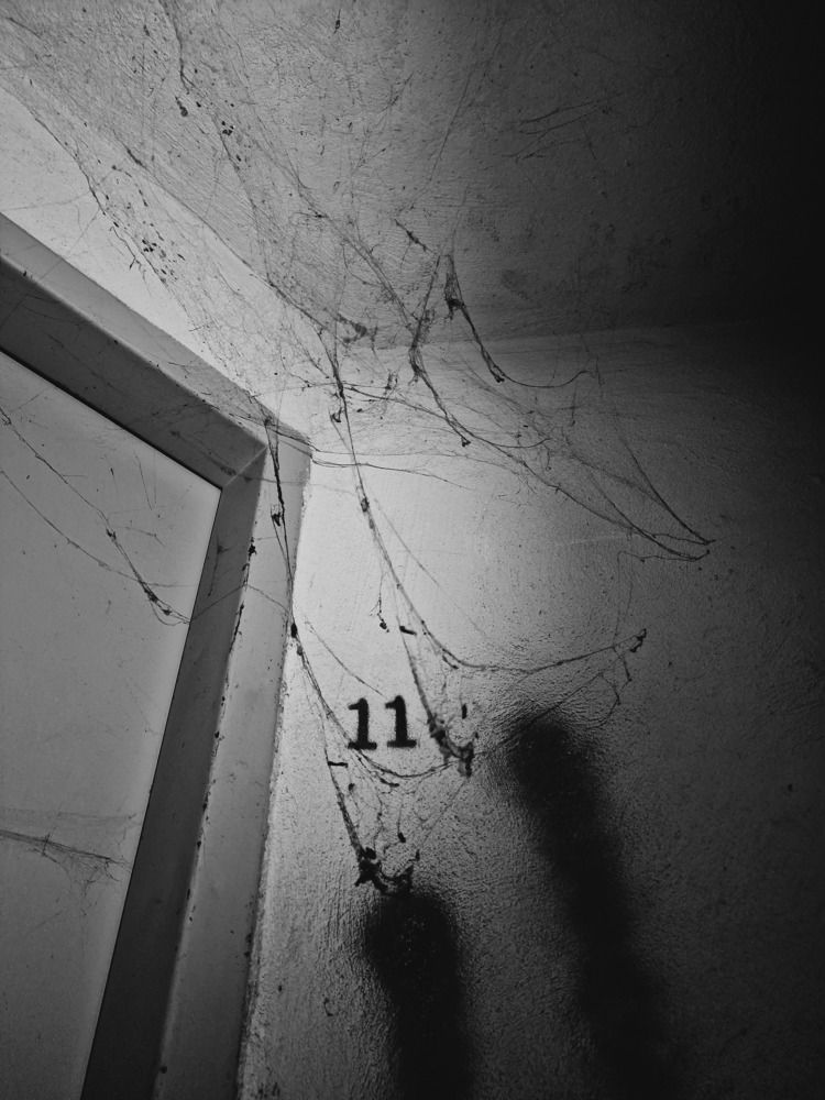 Photograph by Hana Vaseqi