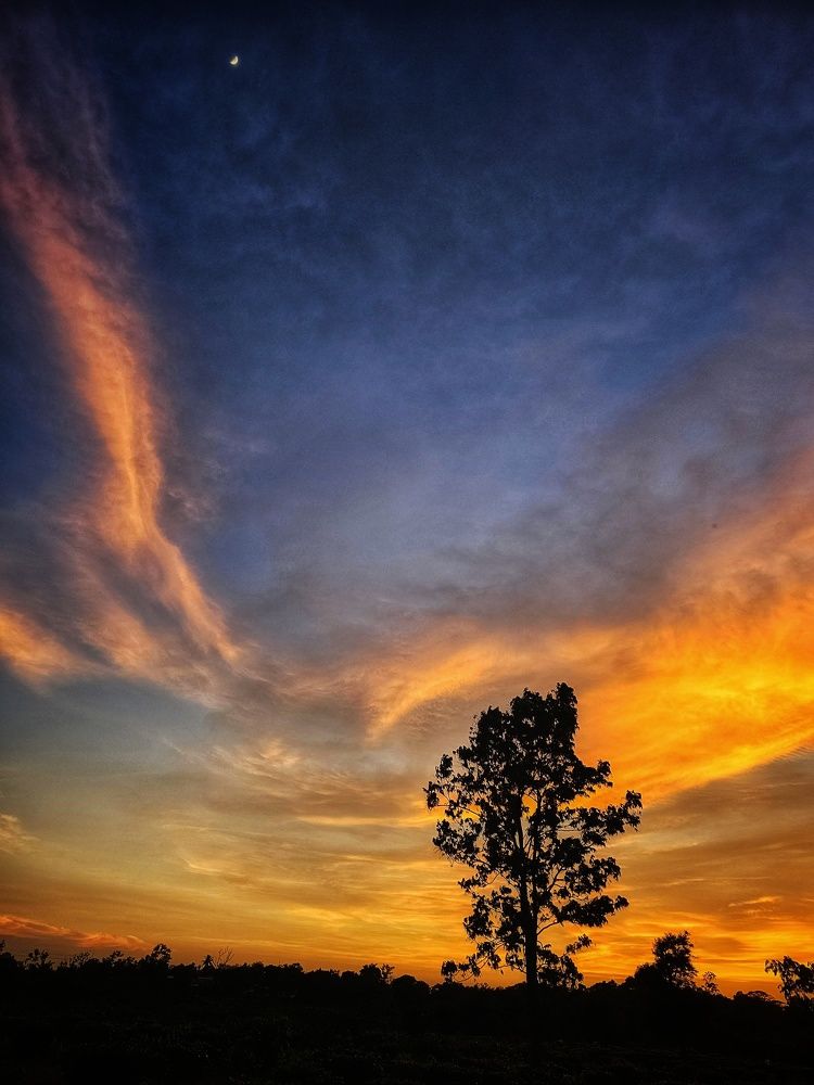 Photograph by SRIMANTA RAY