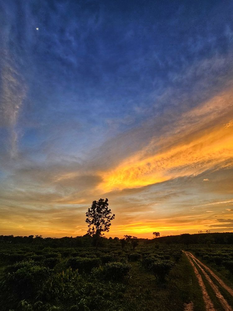 Photograph by SRIMANTA RAY