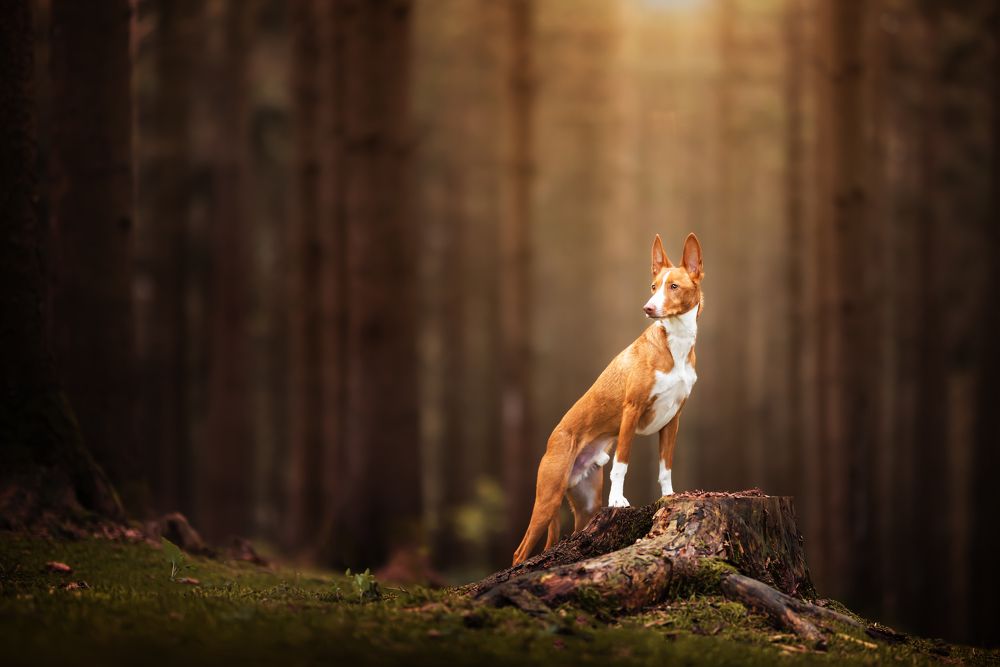 Photograph by Sylvie Lettal