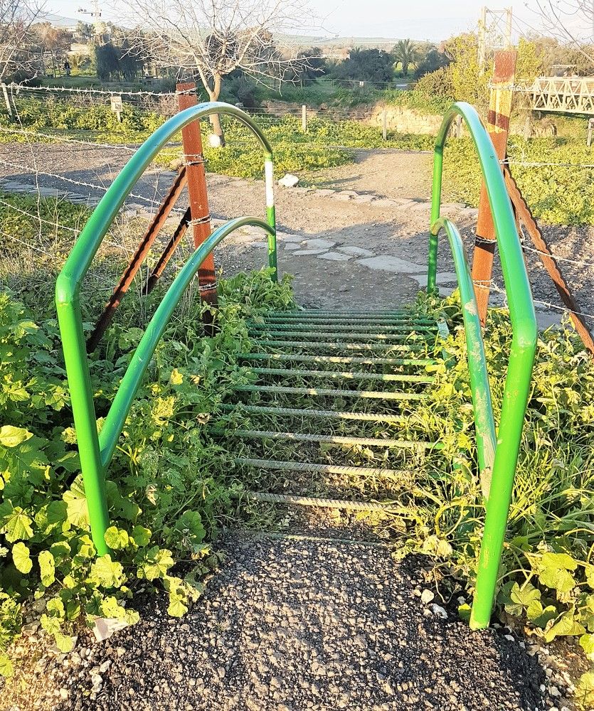 Фотография автора Ася Бабушкина