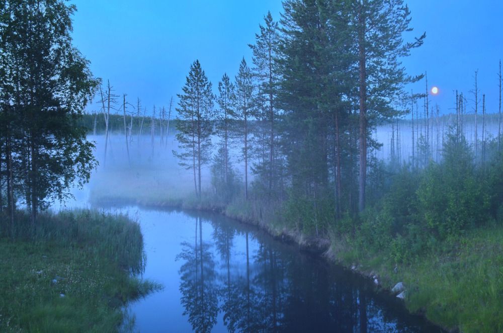 Photograph by Мария Воронцова