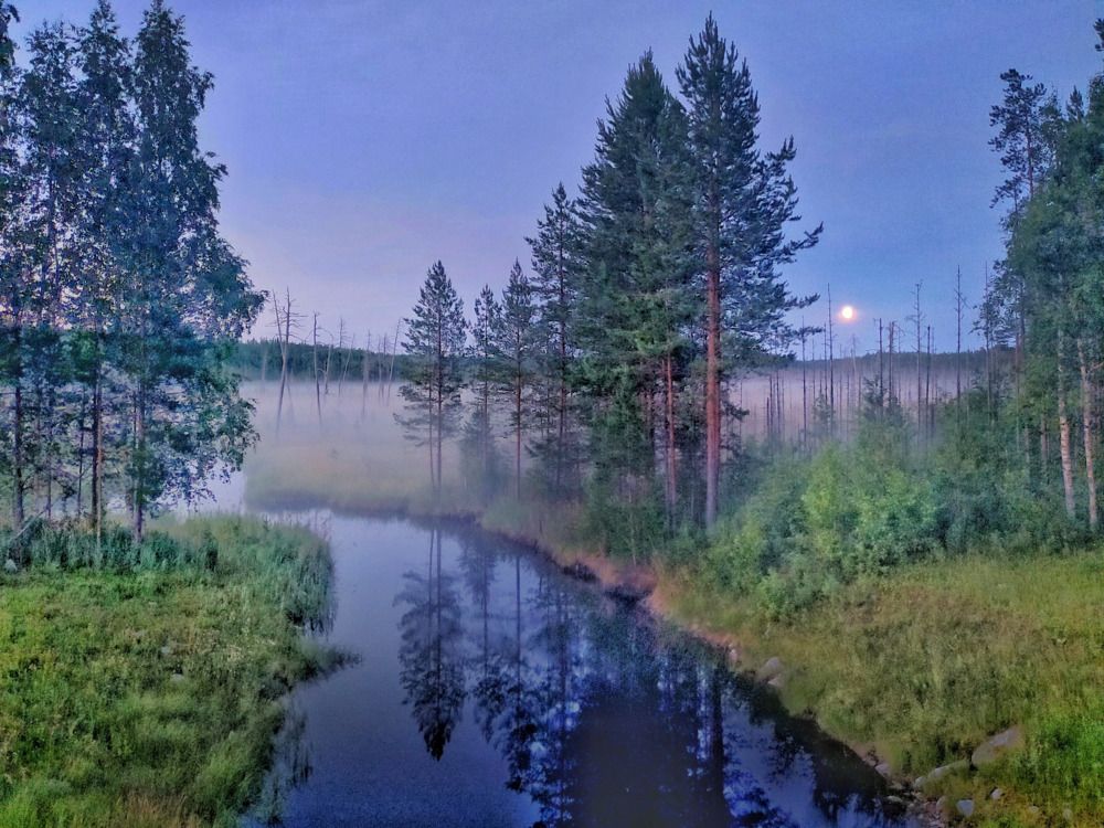 Photograph by Мария Воронцова