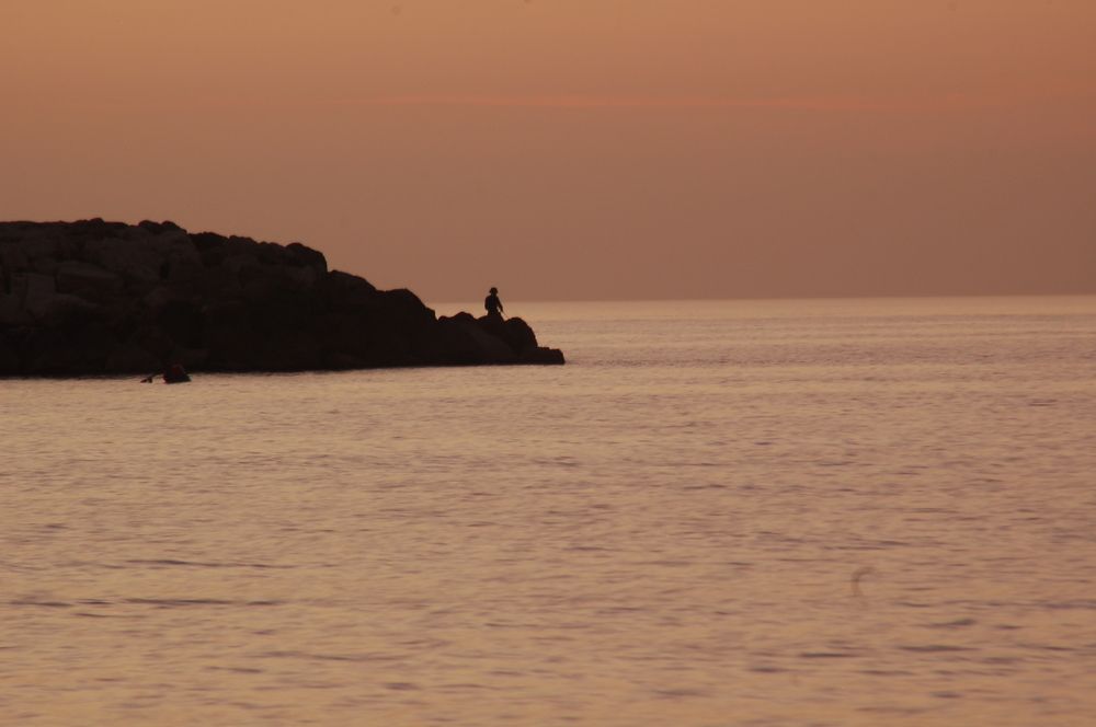 Фотография автора Ася Бабушкина