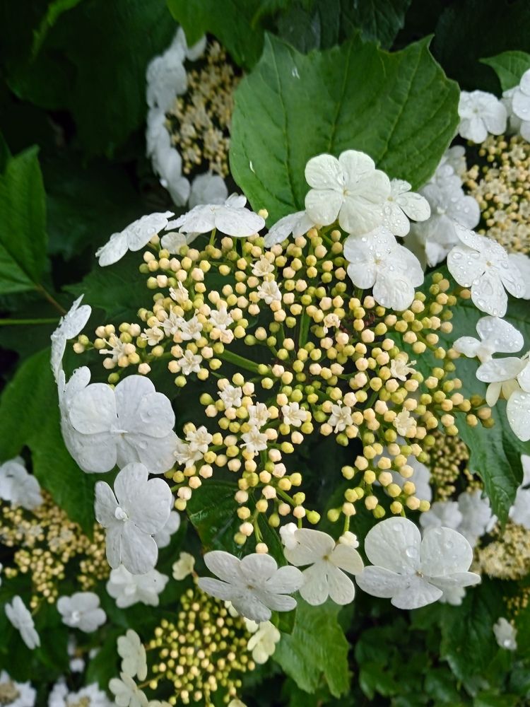 Photograph by Алия Хафизова