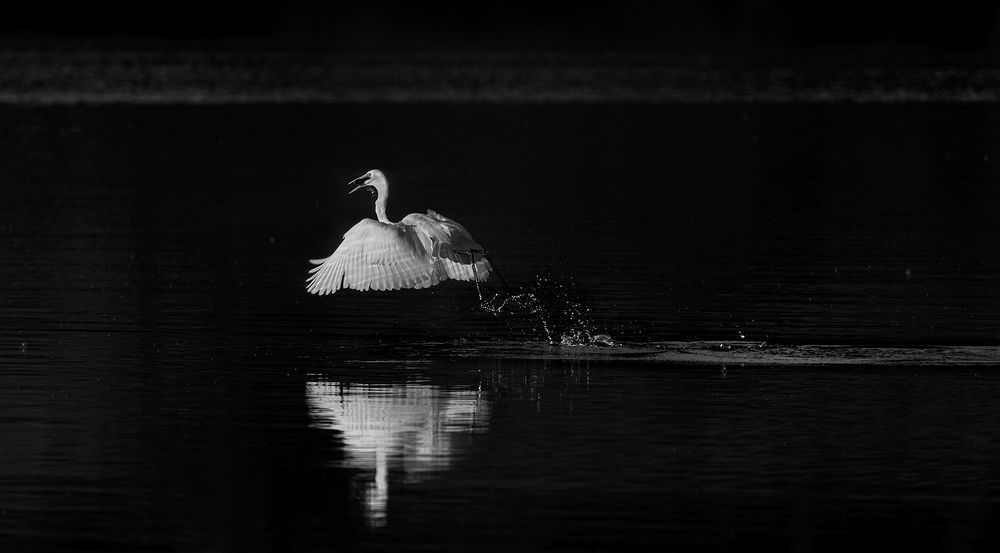 Фотография автора Анатолий Макоедов