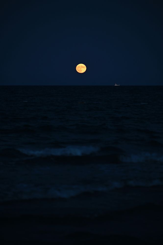 Photograph by Юлия Лис-а