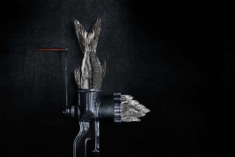 Размножение