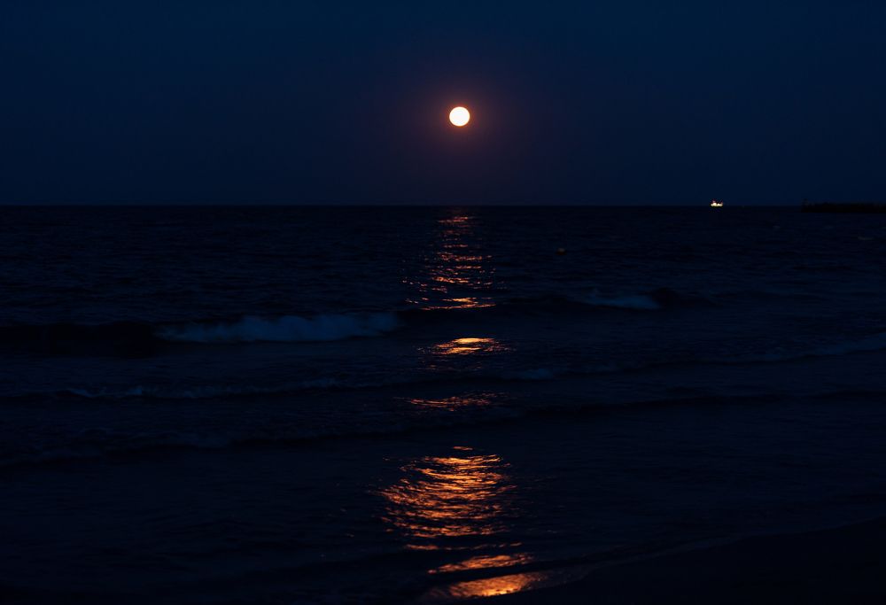 Photograph by Юлия Лис-а