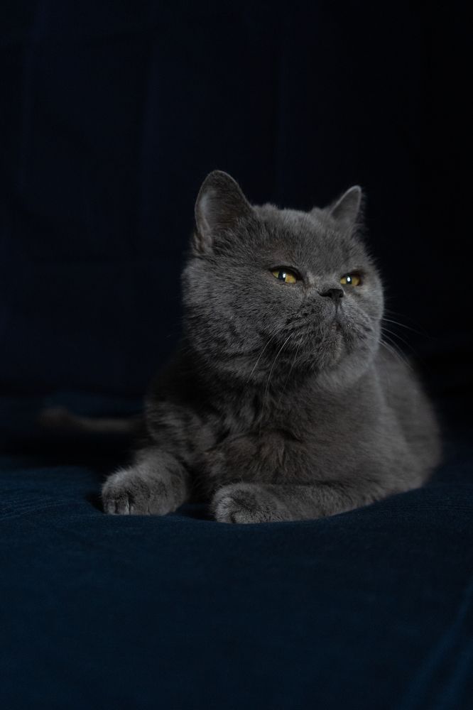 Photograph by Анна Марковская