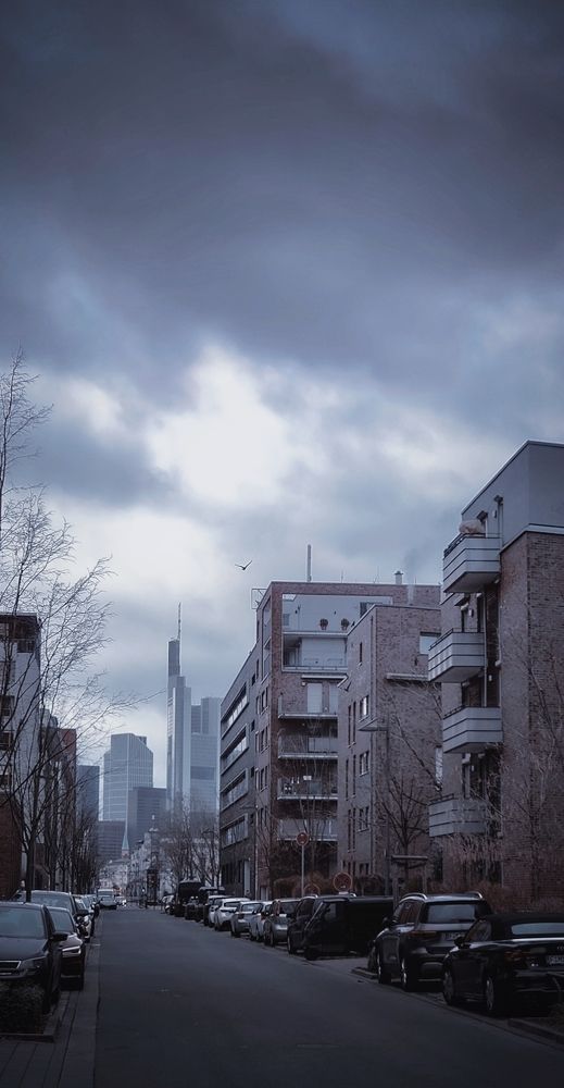 Фотография автора Laura Skwarek