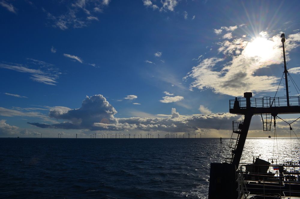 Photograph by Эльмира Халматова