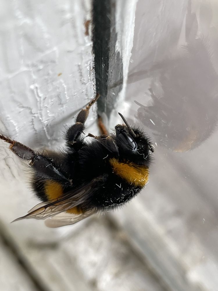 Photograph by Олеся Владимирова