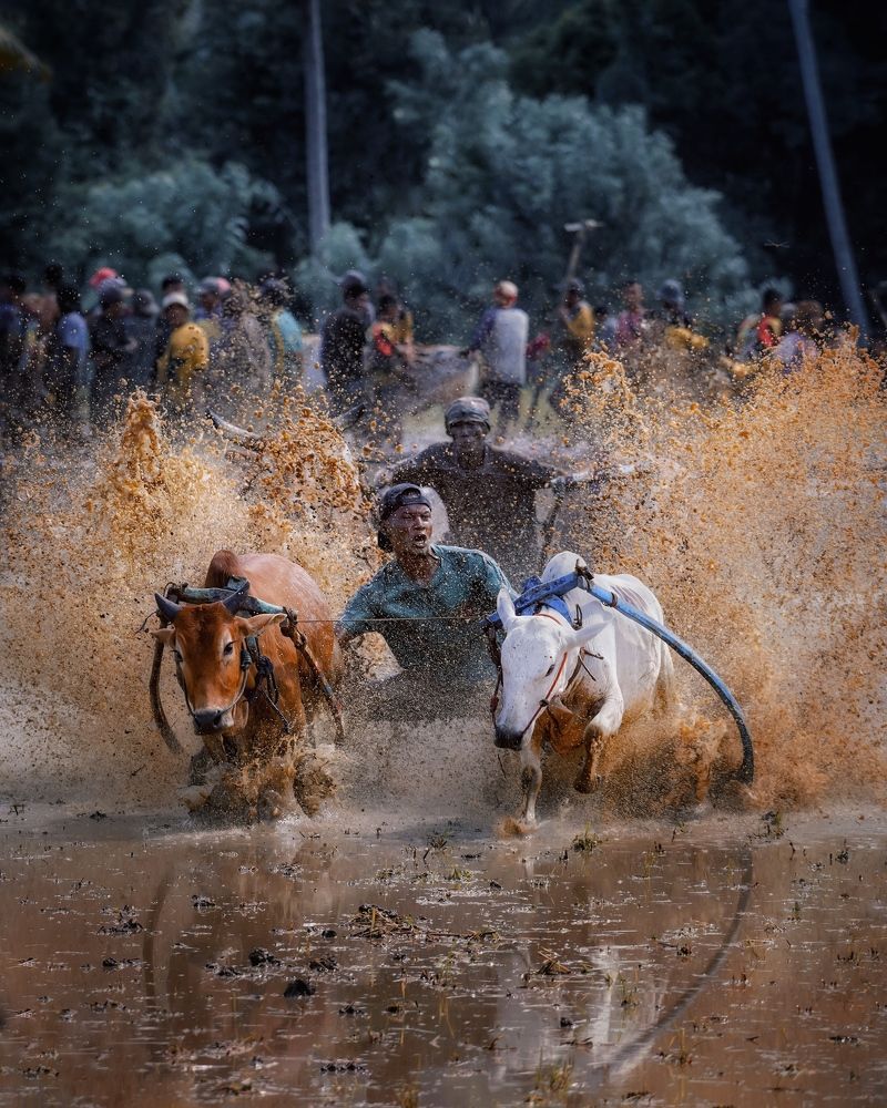 Photograph by Henri Fitriadi