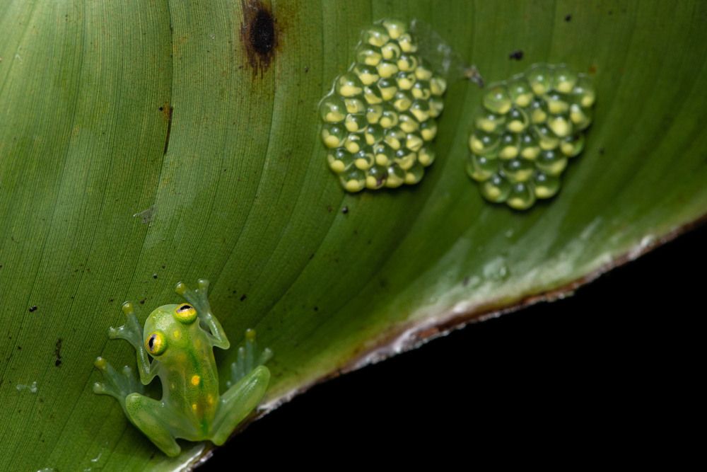 Photograph by Santiago Varela
