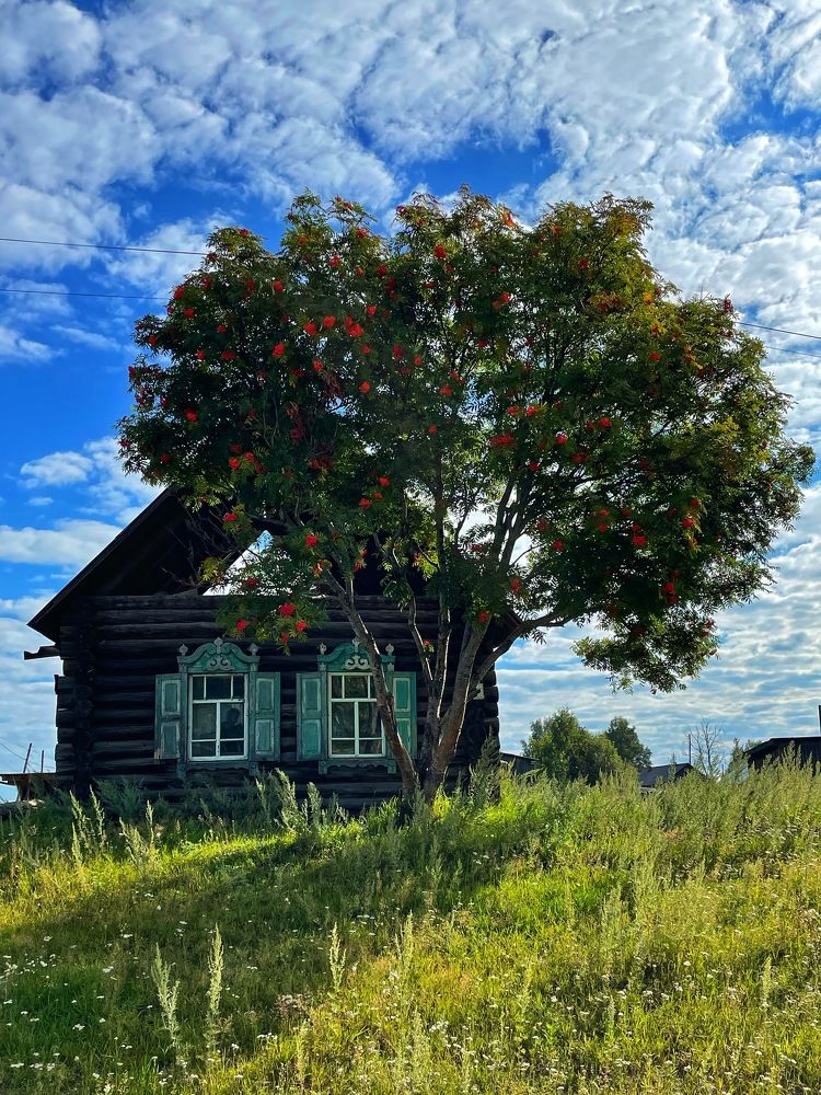 Фотография автора Nadezhda