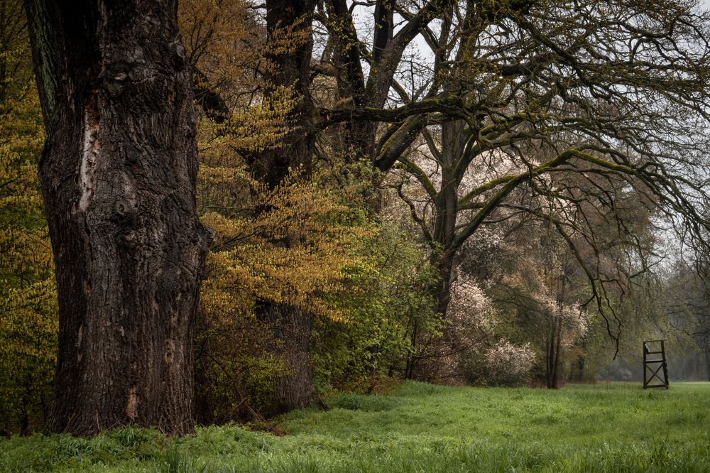 Парк Луизиум