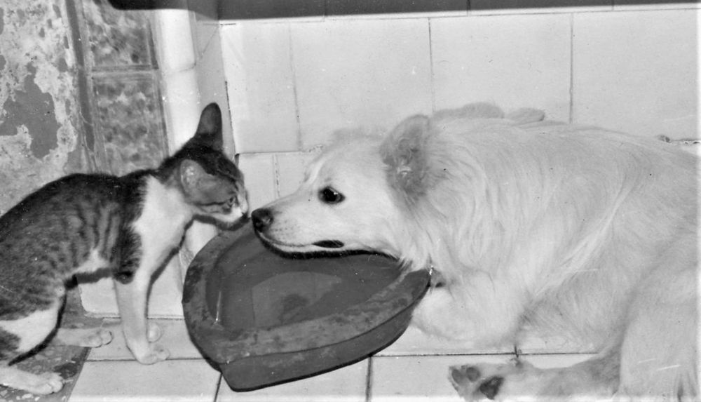 Photograph by Rajesh Sheth