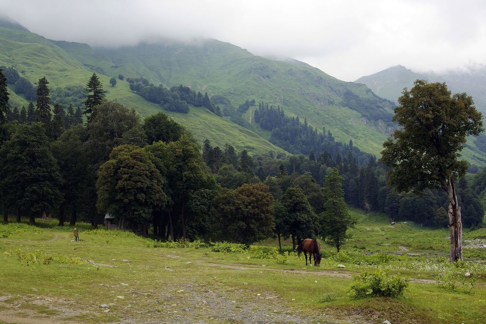 Photograph by Дмитрий Лобанов