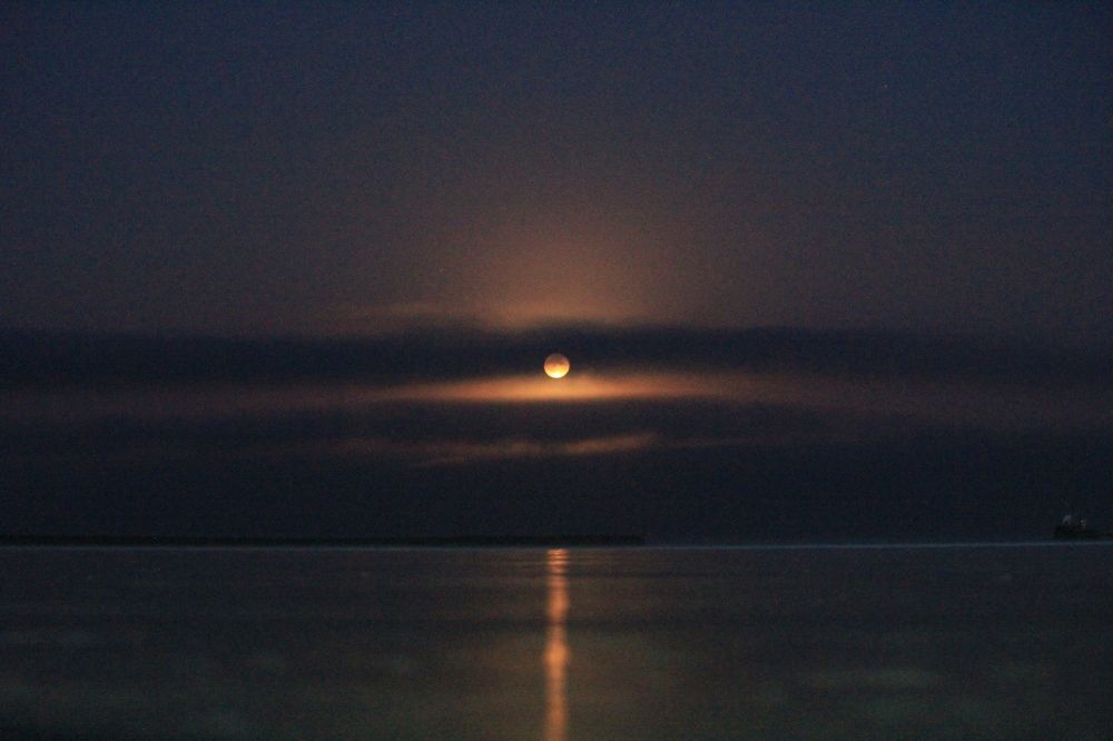 Photograph by Александр