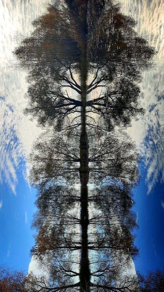 Легкие природы