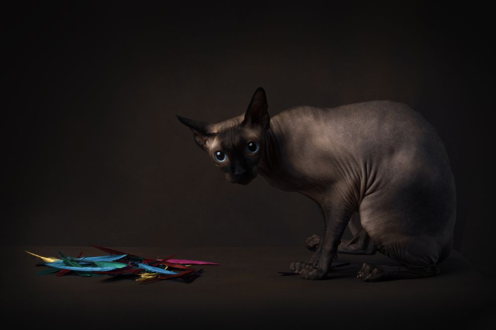 Photograph by Ольга Савельева