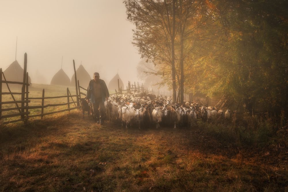 Photograph by Рудченко Ольга