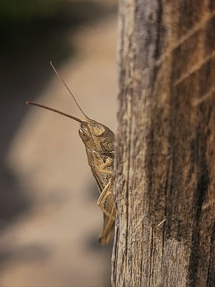 Photograph by Елена Иванова