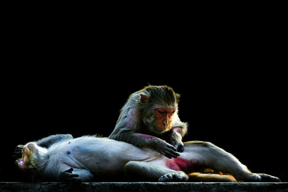 Photograph by Deepak Medisetti