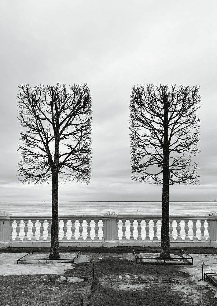 Photograph by Елена Гайдай