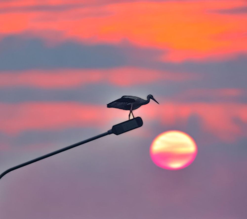 Photograph by Николай Яковлев