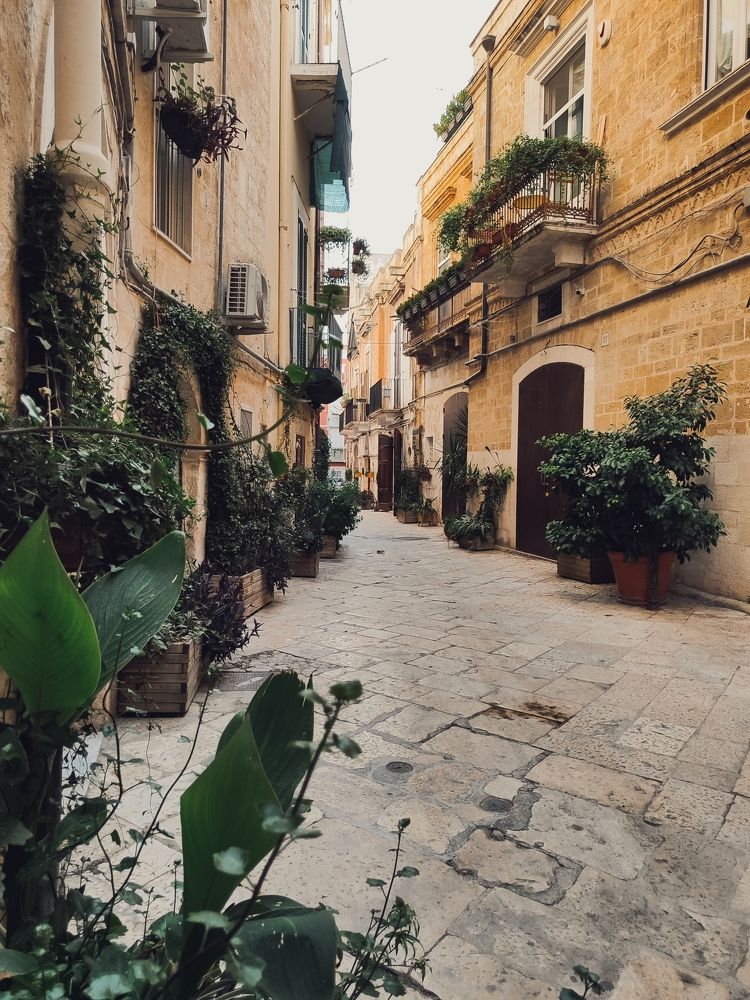 Photograph by Екатерина