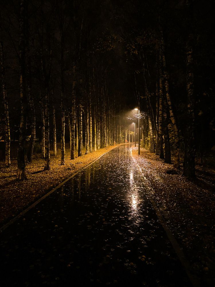 Photograph by Лия Маликова