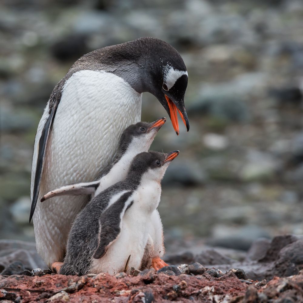 Photograph by Марина Маликова