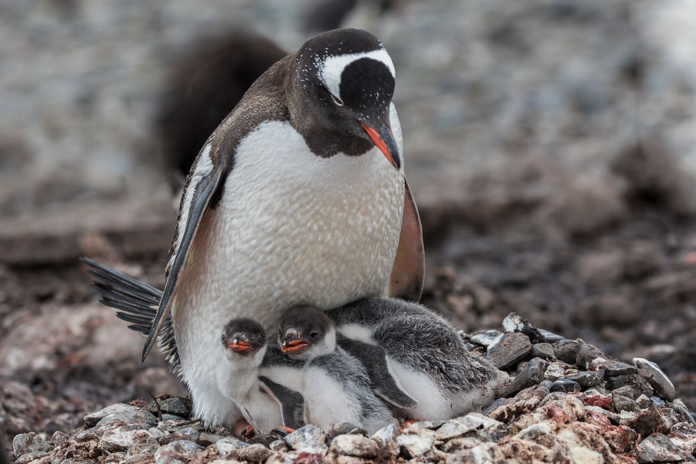 Photograph by Марина Маликова