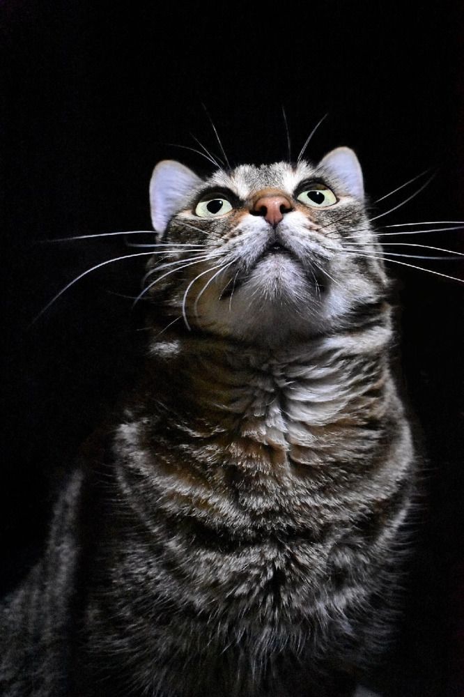 Photograph by Евгения