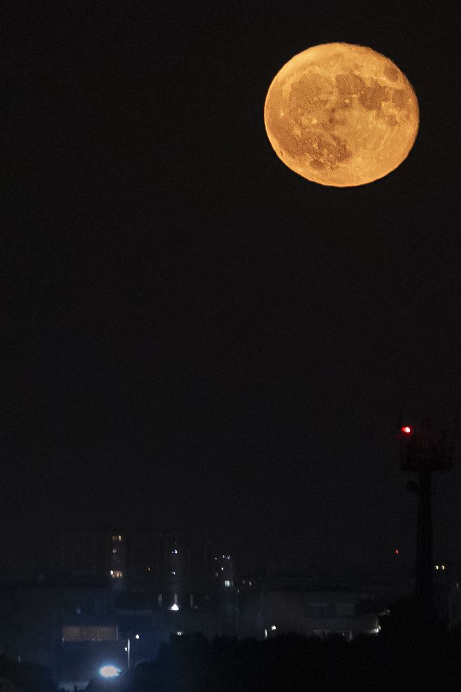 Photograph by fumarola pierdomenico