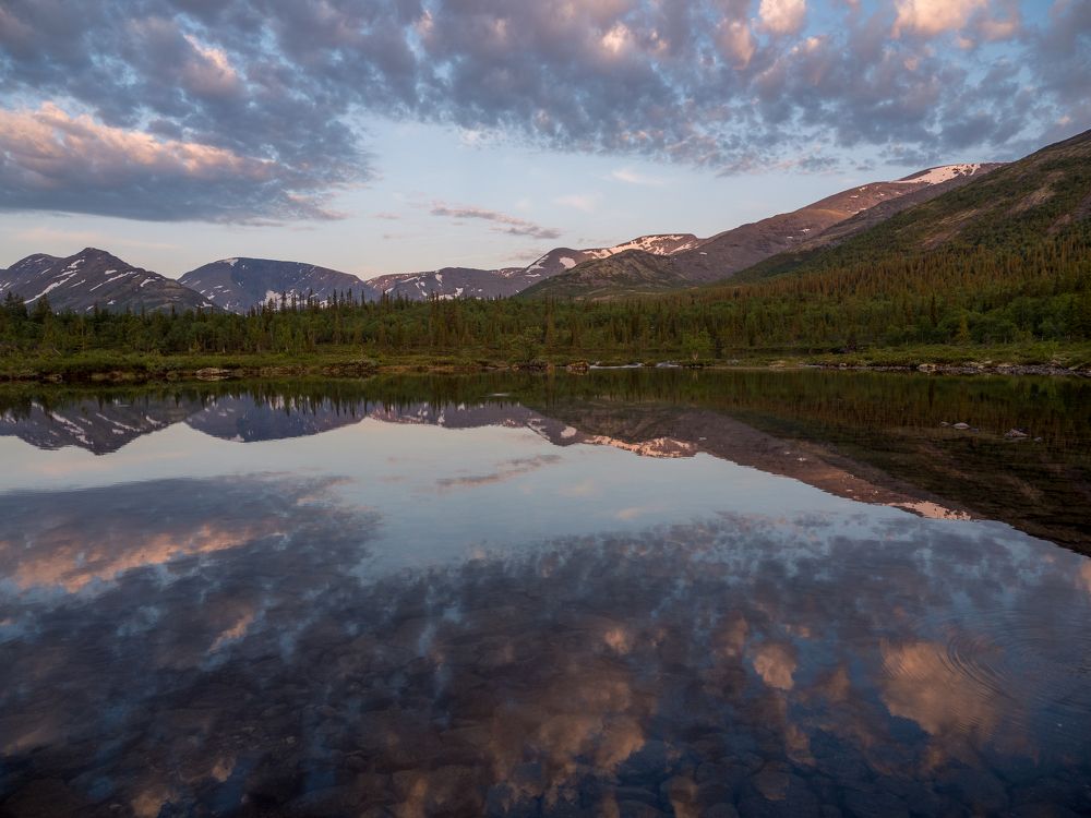 Photograph by Шейко Анна