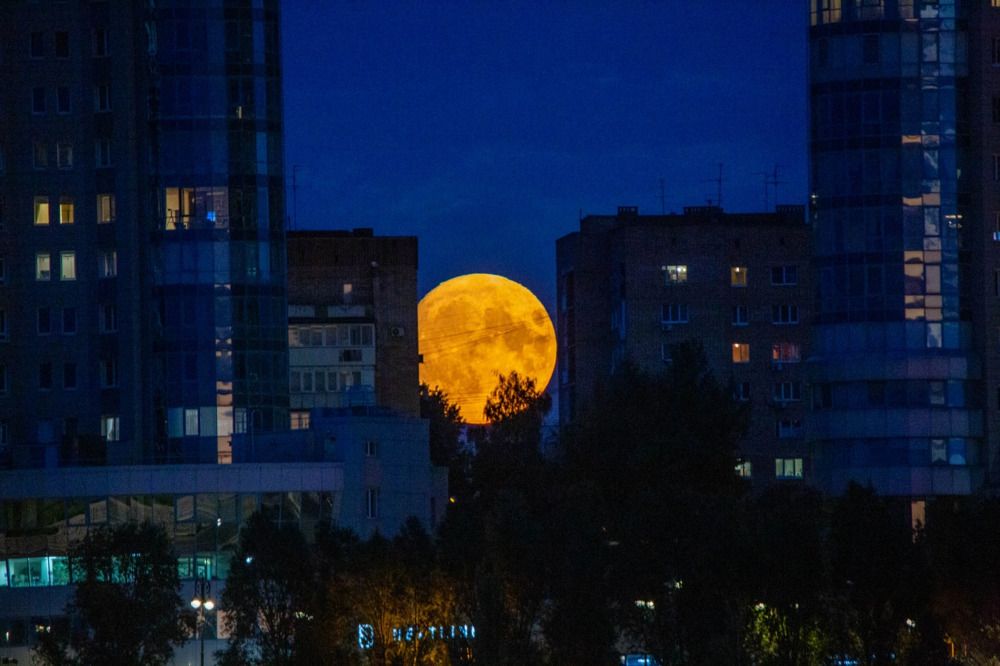 Photograph by Игорь Сапронов