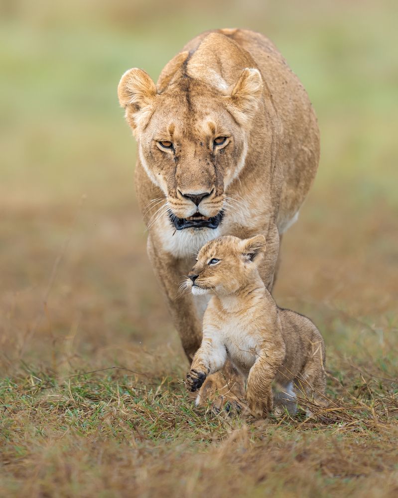 Photograph by Ahmed Sobhi