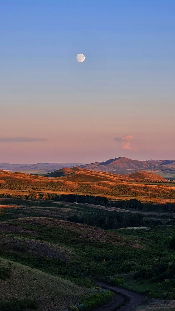 Photograph by Ольга Веселова