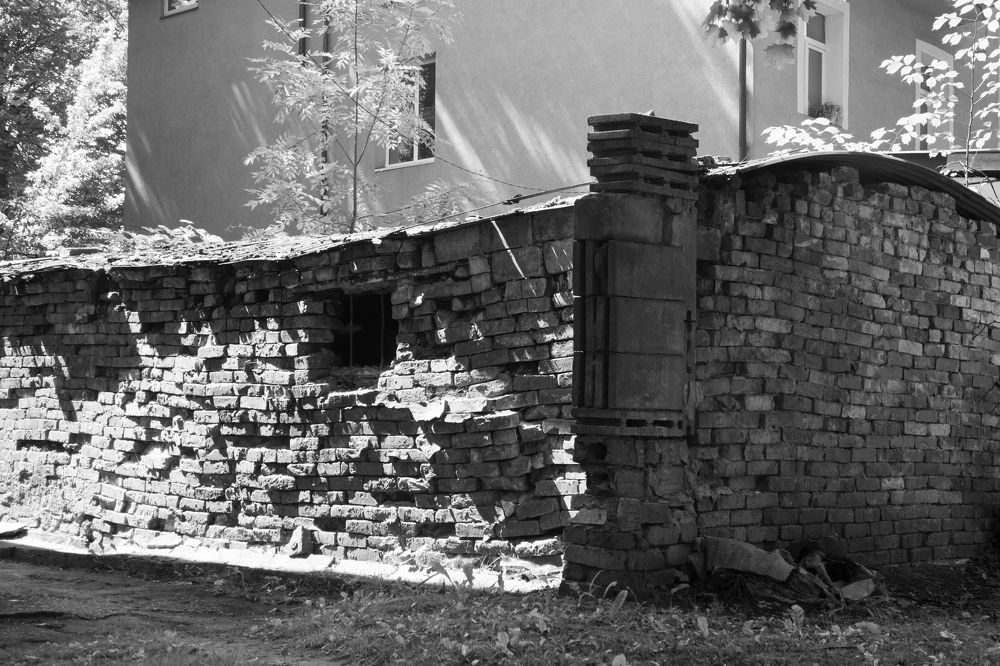 Photograph by Nadezhda Bakina