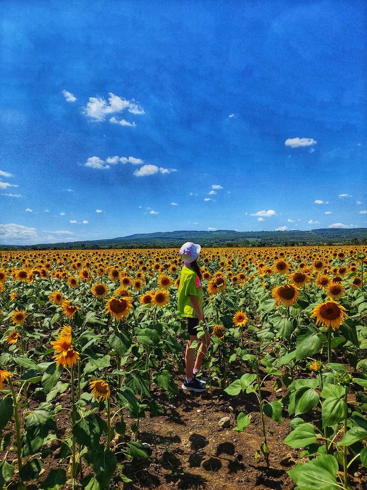 Photograph by Юлия Коробкова