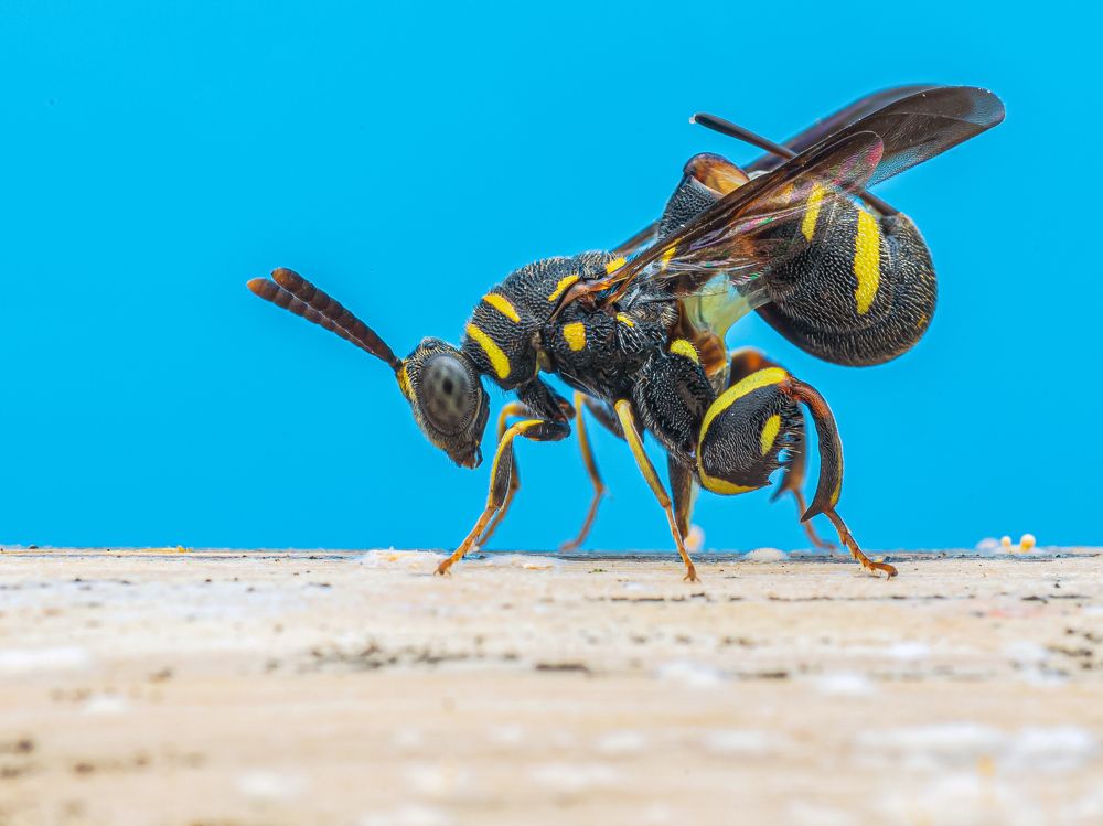 Photograph by Bidyut Kalita