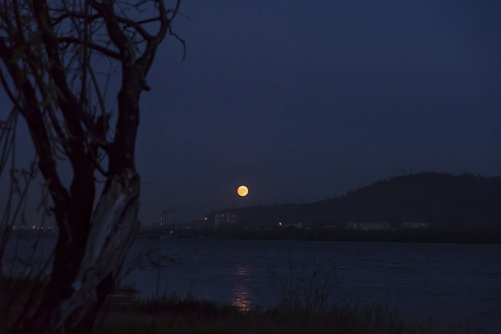 Photograph by Дроздова Наталья