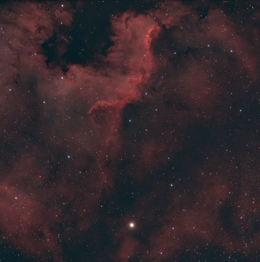 Photograph by Андрей Коротков